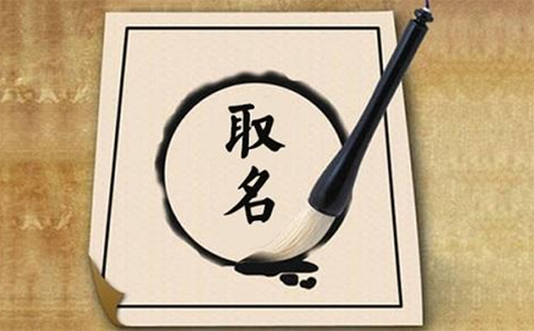 軟件開(kāi)發(fā)公司取名字