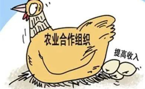 鄭州農民專(zhuān)業(yè)合作社設立登記目錄